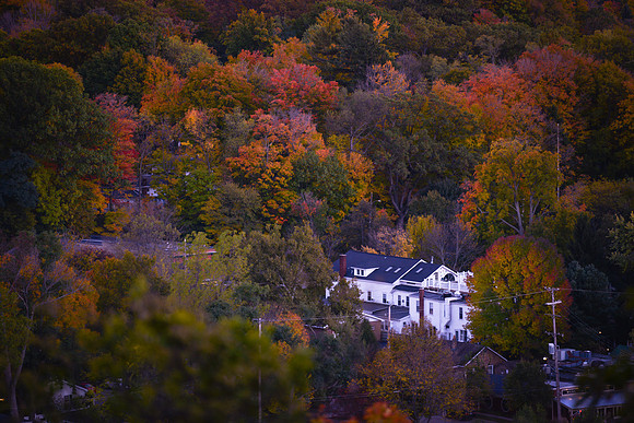 Saugatuck - Douglas Fall
