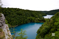 _DSC0313