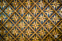 _DSC1108