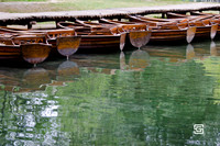 _DSC0194