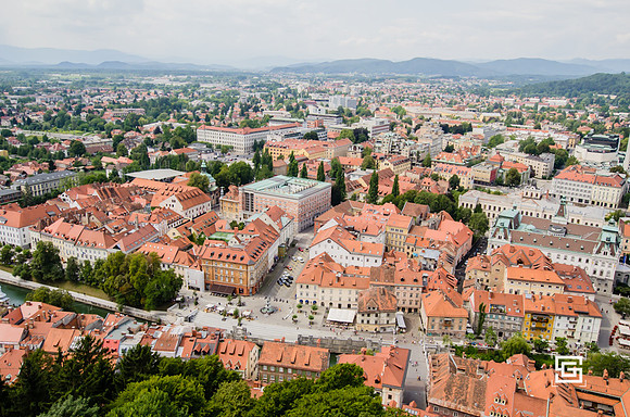 _DSC8522