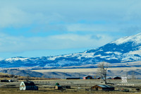 _DSC8998