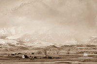 _DSC8996-2