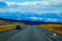 _DSC9008