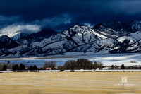 _DSC9051