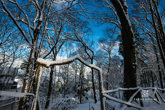 _DSC2232