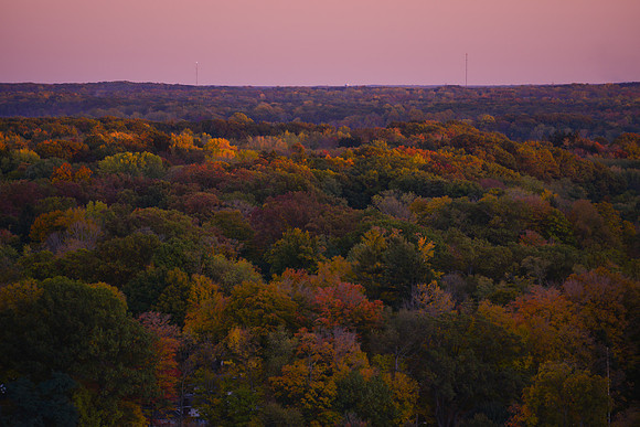 Saugatuck - Douglas Fall